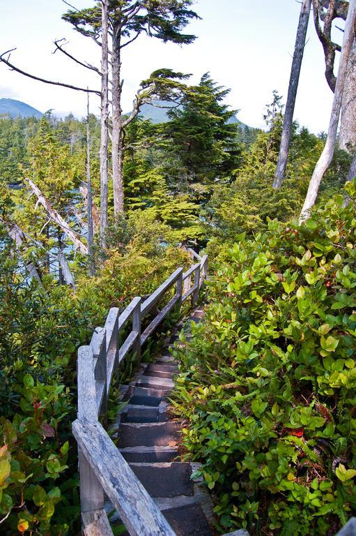 Wild Pacific Guest Suites Ucluelet Dış mekan fotoğraf