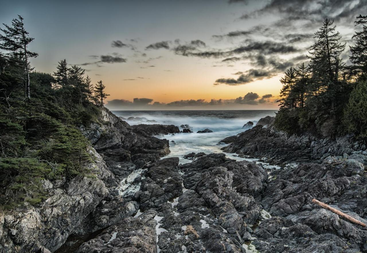 Wild Pacific Guest Suites Ucluelet Dış mekan fotoğraf